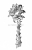 Кактусы  Г.  циннабаринус.  H.  cinnabarinus (Eichl. ) Br.  et  R