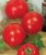 Tomatoes Liang