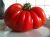 Tomatoes Marmande