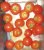 Tomatoes Fouette F1