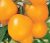 Tomatoes De Barao gold