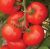 Tomatoes Kakadu