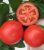 Tomatoes Ivanovich