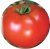 Tomatoes Hercules Maslov