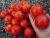 Tomatoes Yamal