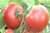 Tomatoes Union - 3