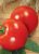 Tomatoes Meridian