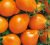 Tomatoes Pear Orange