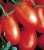 Tomatoes Generator F1