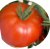 Tomatoes Akulina