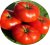Tomatoes Alaska
