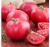 Tomatoes Tourmaline