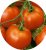 Tomatoes Gamayun F1