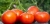 Tomatoes Darnitsya F1