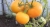 Tomatoes Hutorskoy salt-coating