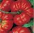 Tomatoes Rosemary pound