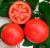 Tomatoes Porthos F1