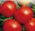Tomatoes Peremoga
