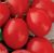 Tomatoes Sugar Plum Red