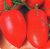 Tomatoes California
