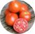 Tomatoes Hilario F1