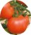 Tomatoes Astrakhan