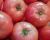Tomatoes Olympus Pink