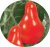 Tomatoes Turandot