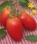 Tomatoes Rio Grande, USA (original)