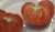 Tomatoes Abakan Pink