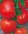 Tomatoes Aksinia F1