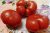 Tomatoes Altai red