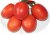 Tomatoes Amur cliff