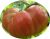 Tomatoes Petite