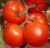 Tomatoes Baltic