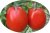 Tomatoes Bosphorus