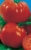 Tomatoes Plomen