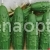 Cucumber Phoenix 640