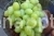 Grapes Sicheslav