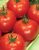 Tomatoes Kyiv 139