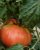 Tomatoes Raspberry Viscount