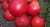 Tomatoes Glasha