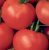 Tomatoes Daria