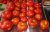 Tomatoes Moskvich