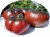Tomatoes Carbon (Carbon)