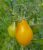 Tomatoes Pear Orange