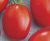 Tomatoes Veneta