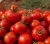 Tomatoes Generosity