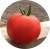 Tomatoes Antalya F1