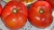 Tomatoes Bityug F1